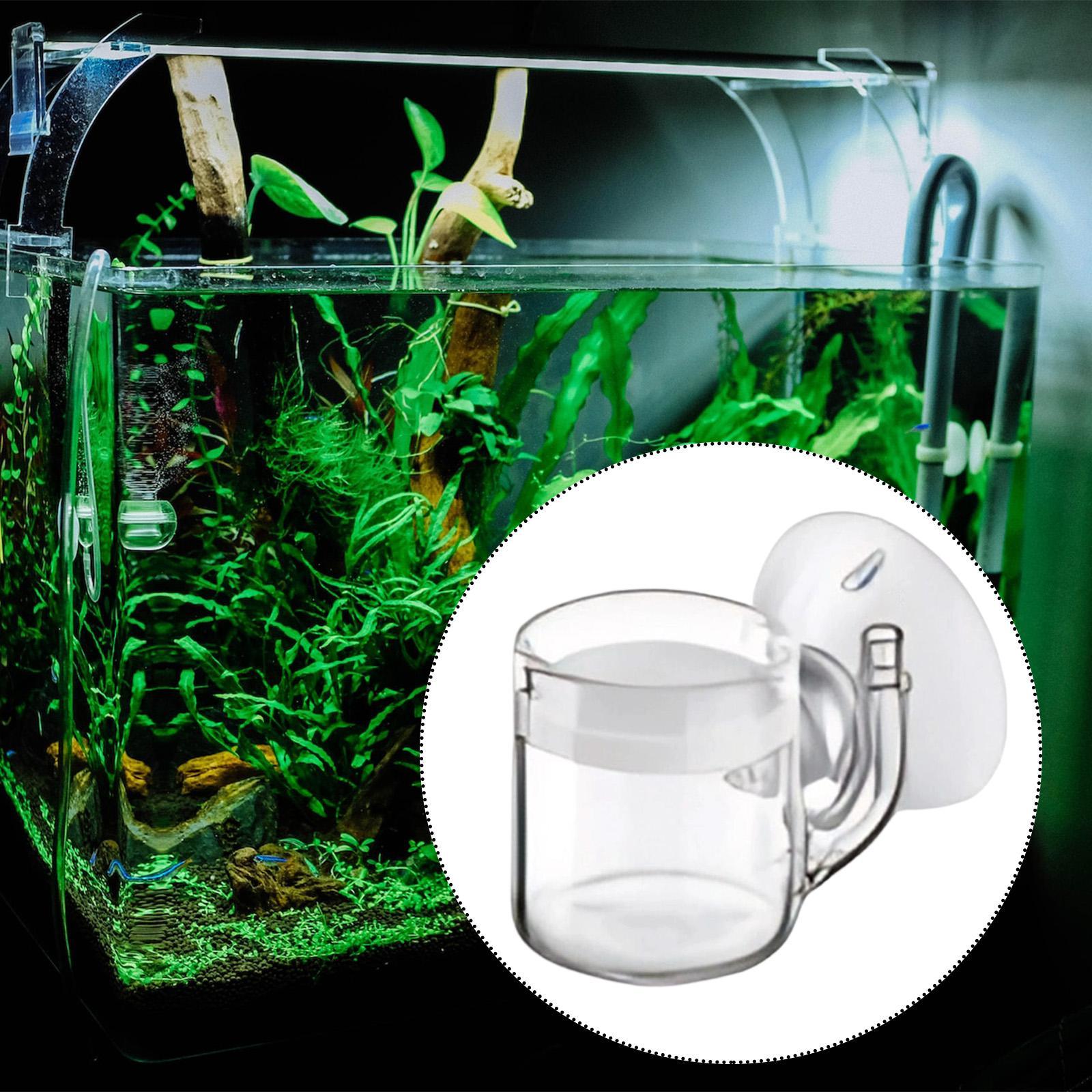 Aquarium Fish Quarantine - Aquarium Diffuser Glass CO2 System Kit