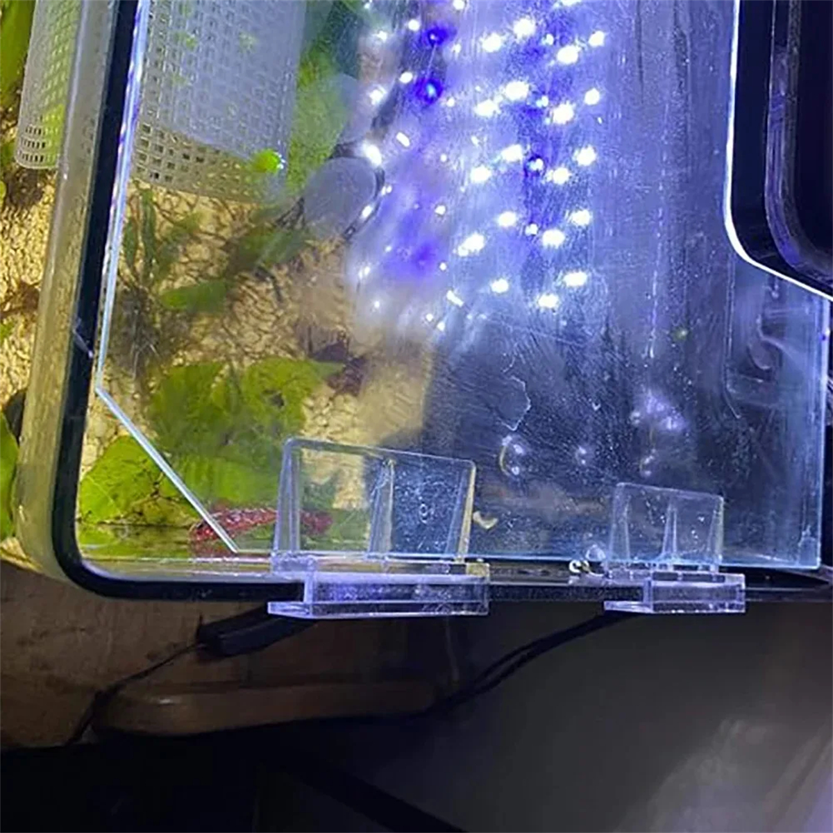 10Pcs Transparent Acrylic Fish - đánh giá và giá Aquarium Fish Quarantine