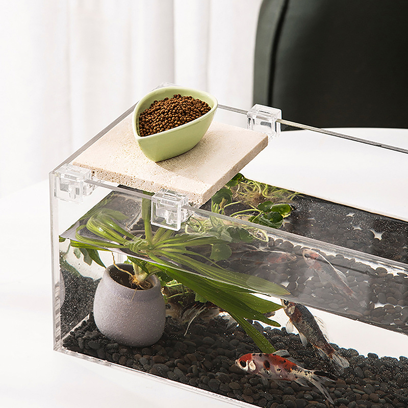 4Pcs 6Mm/8Mm/10Mm Fish Tank Ac - đánh giá và giá Aquarium Fish Elevator