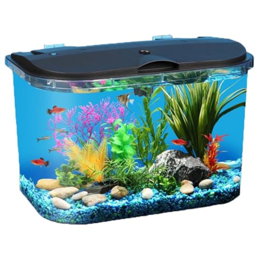 5-Gallon Aquarium Kit with LED - đánh giá và giá Aquarium Fish Variety