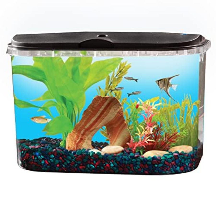 5-Gallon Aquarium Kit with LED - đánh giá và giá Aquarium Fish Variety