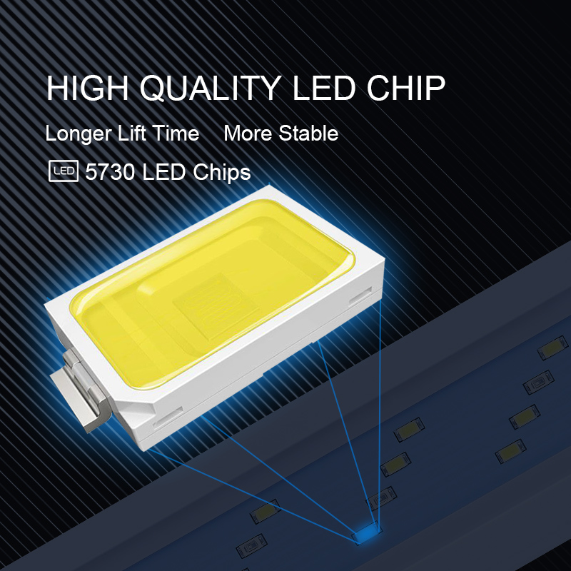 Extensible Waterproof Clip on  - đánh giá và giá Aquarium Fish Light Lamp