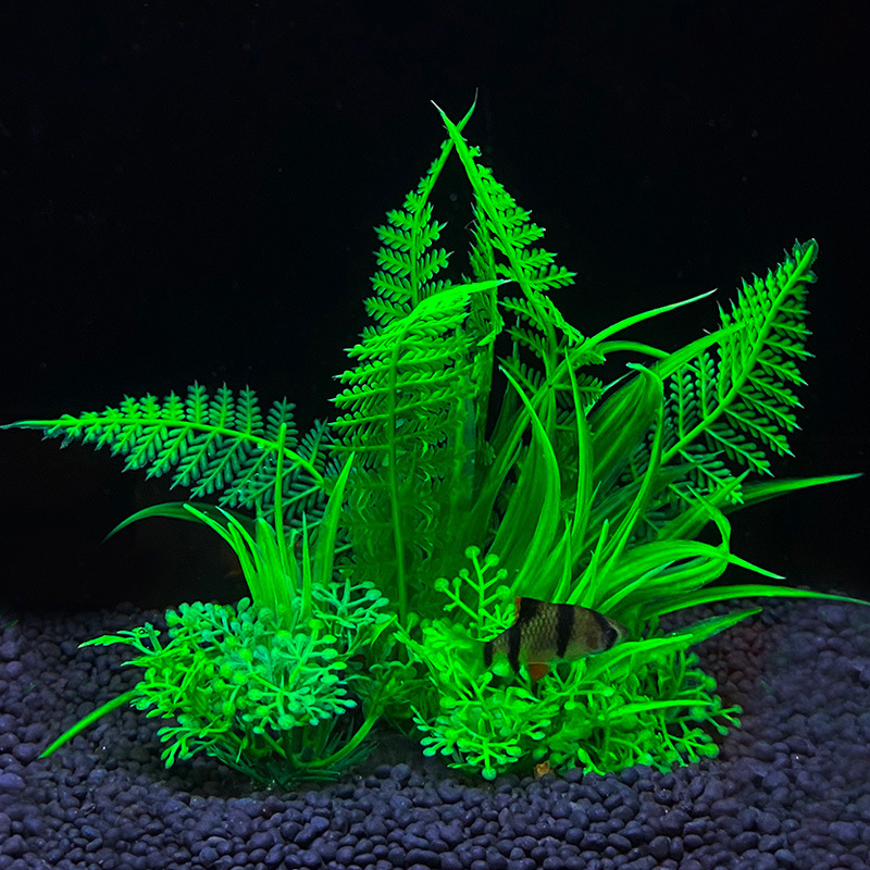 Aquarium decoration a variety  - đánh giá và giá Aquarium Fish Variety
