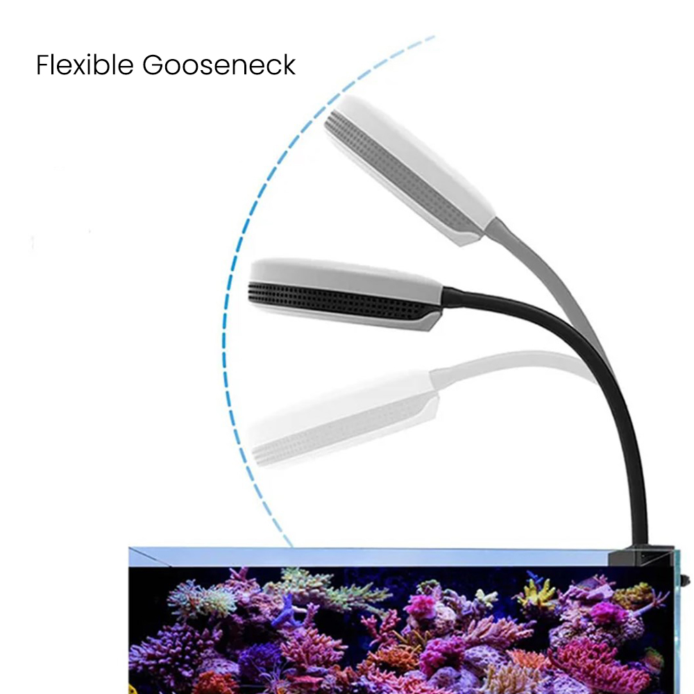 Spectra SP20 20W Aquarium LED  - đánh giá và giá Aquarium Fish Light Lamp