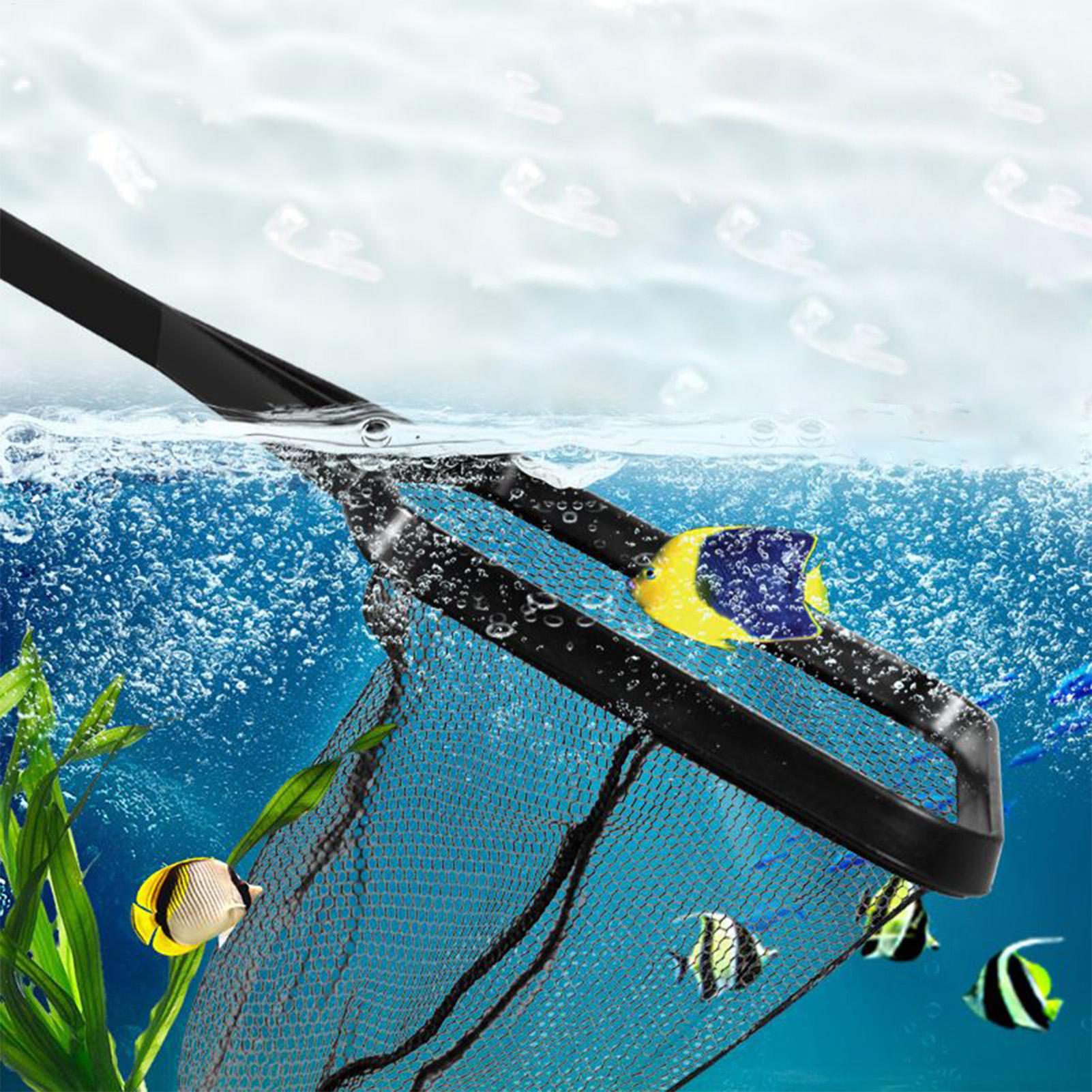Pool Net Fish Tank Salvage Net - đánh giá và giá Aquarium Fish Net