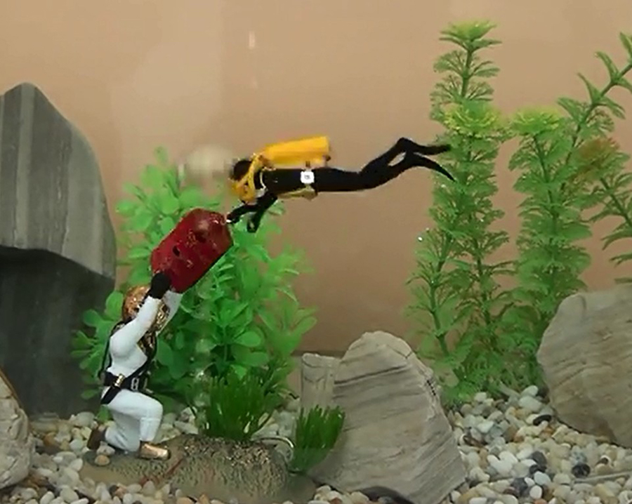 Hot Aquarium Decoration Unders - đánh giá và giá Aquarium Fish Gif