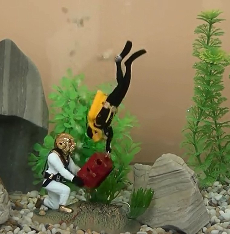 Hot Aquarium Decoration Unders - đánh giá và giá Aquarium Fish Gif