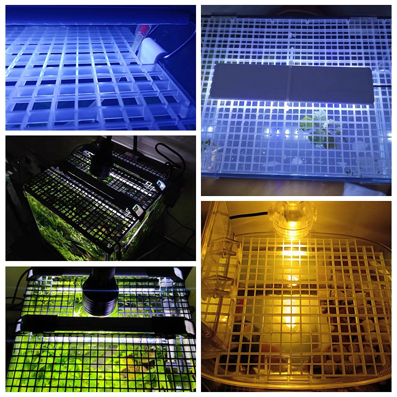 Fish Tank Isolation Plate Uppe - đánh giá và giá Aquarium Fish Net