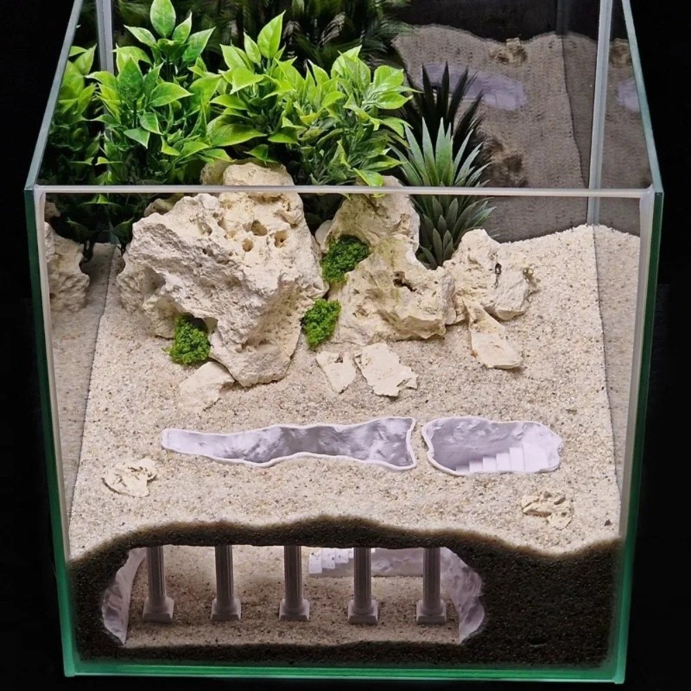 Safe Cave Shape Fish Tank Cave - đánh giá và giá Aquarium Fish Elevator