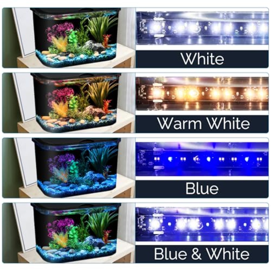 5-Gallon Aquarium Kit with LED - đánh giá và giá Aquarium Fish Variety