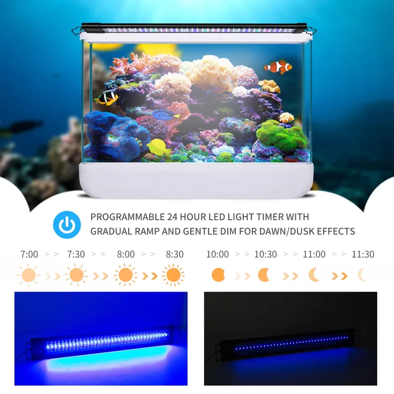 LED Programmable Aquarium Ligh - đánh giá và giá Aquarium Fish Light Lamp