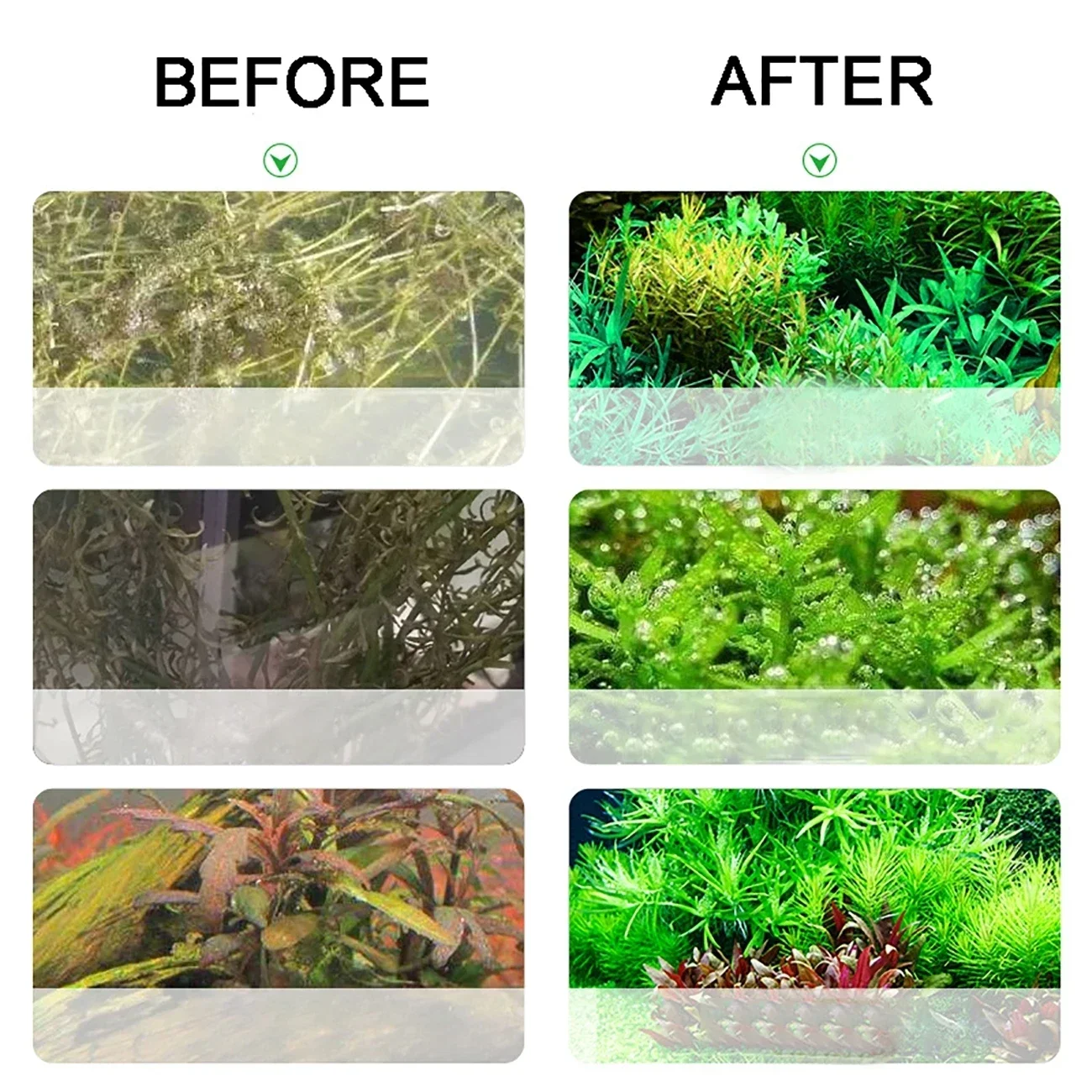 Aquarium CO2 Generator 2L DIY  - đánh giá và giá Aquarium Fish Quarantine