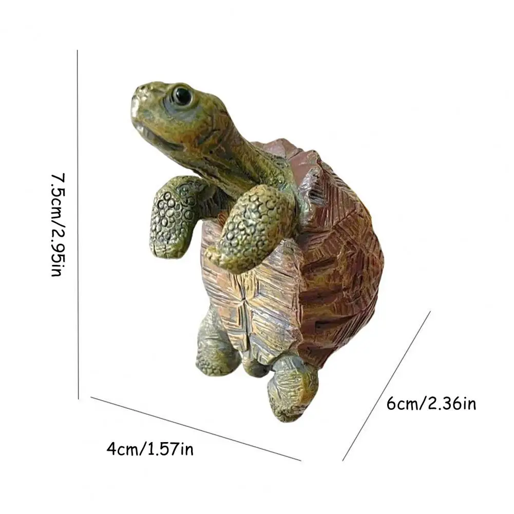 Fishing Turtle Hanging Turtle  - đánh giá và giá Aquarium Fish Quarantine
