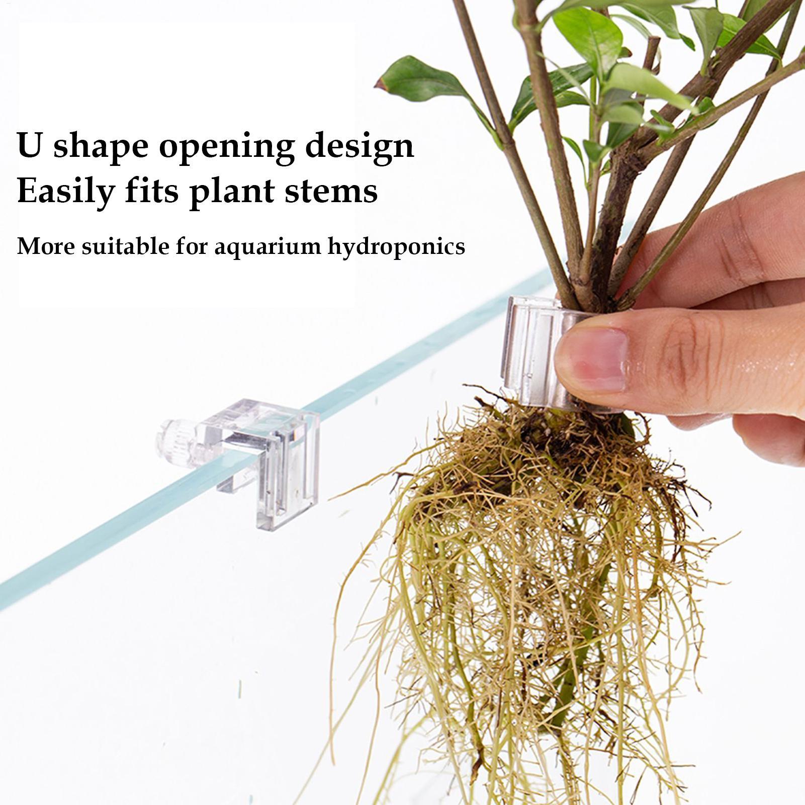 6Pcs Aquarium Plant Holder Sup - đánh giá và giá Aquarium Fish Elevator