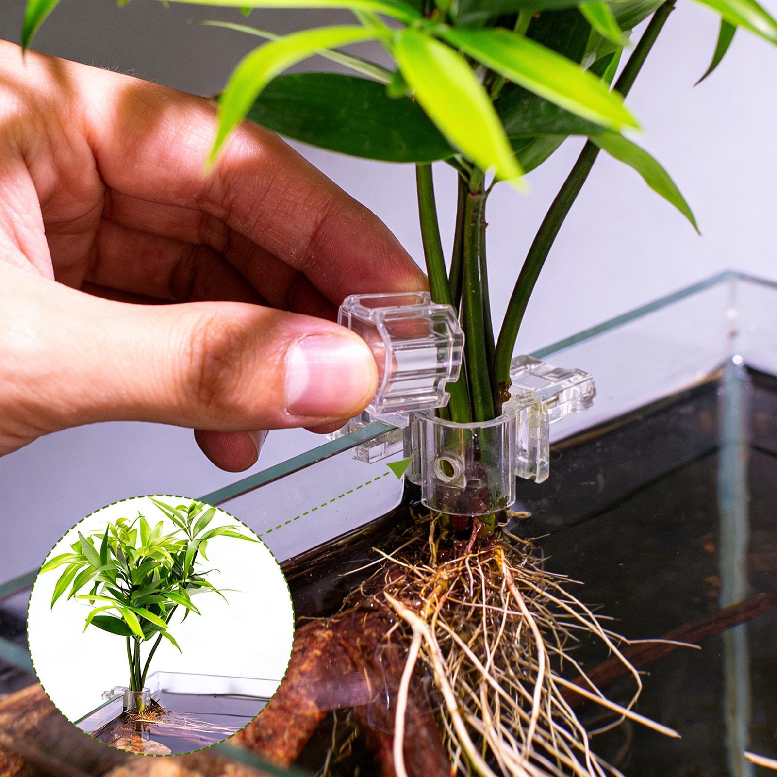 6Pcs Aquarium Plant Holder Sup - đánh giá và giá Aquarium Fish Elevator