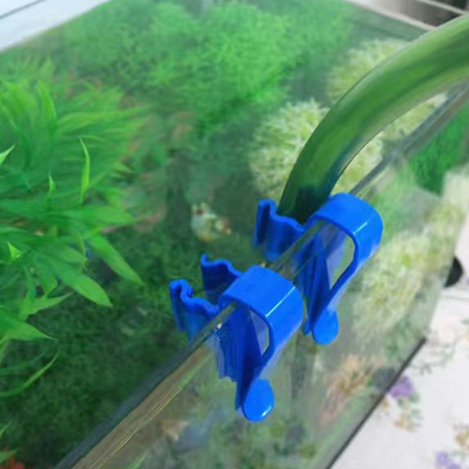 Aquarium Tube Holder Clip Fish - đánh giá và giá Aquarium Fish Quarantine