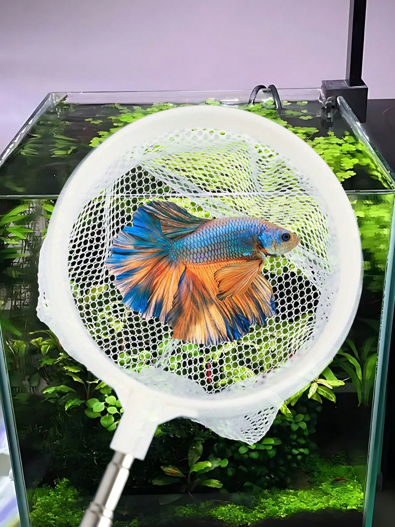 Aquarium Fish Net - a Retracta - đánh giá và giá Aquarium Fish Net