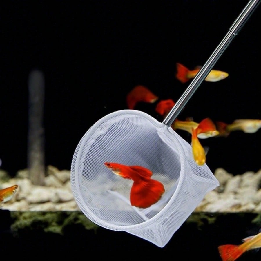 Aquarium Fish Net - a Retracta - đánh giá và giá Aquarium Fish Net