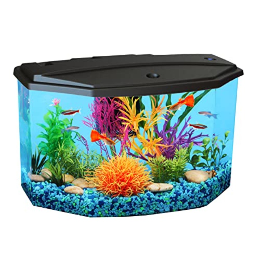 Plastic 3-Gallon Aquarium Star - đánh giá và giá Aquarium Fish Variety