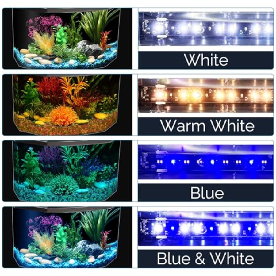 Plastic 3-Gallon Aquarium Star - đánh giá và giá Aquarium Fish Variety