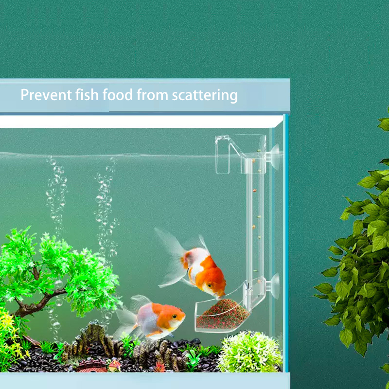 Aquarium Acrylic Feeding tube  - đánh giá và giá Aquarium Fish Variety