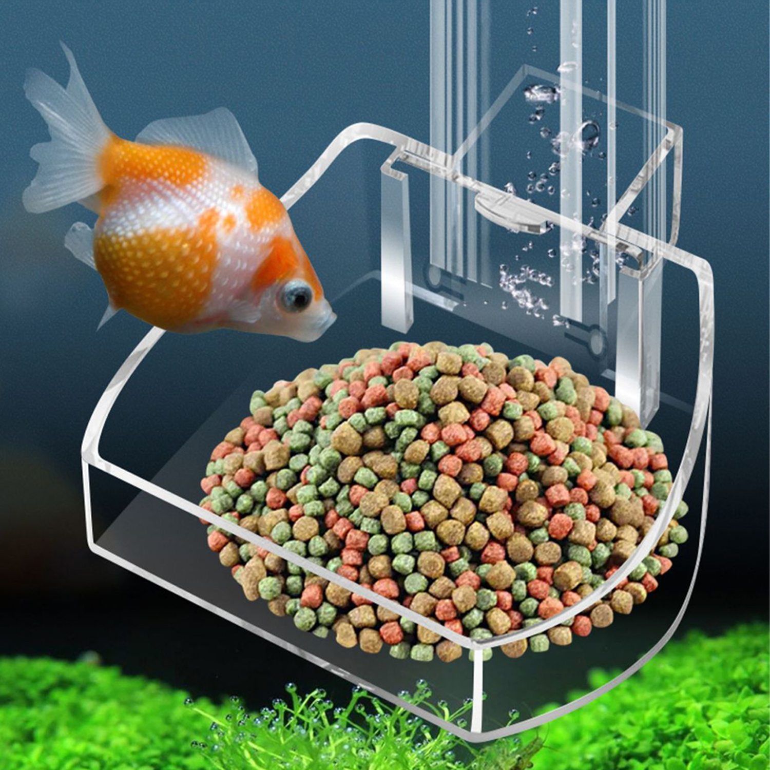 Aquarium Acrylic Feeding tube  - đánh giá và giá Aquarium Fish Variety