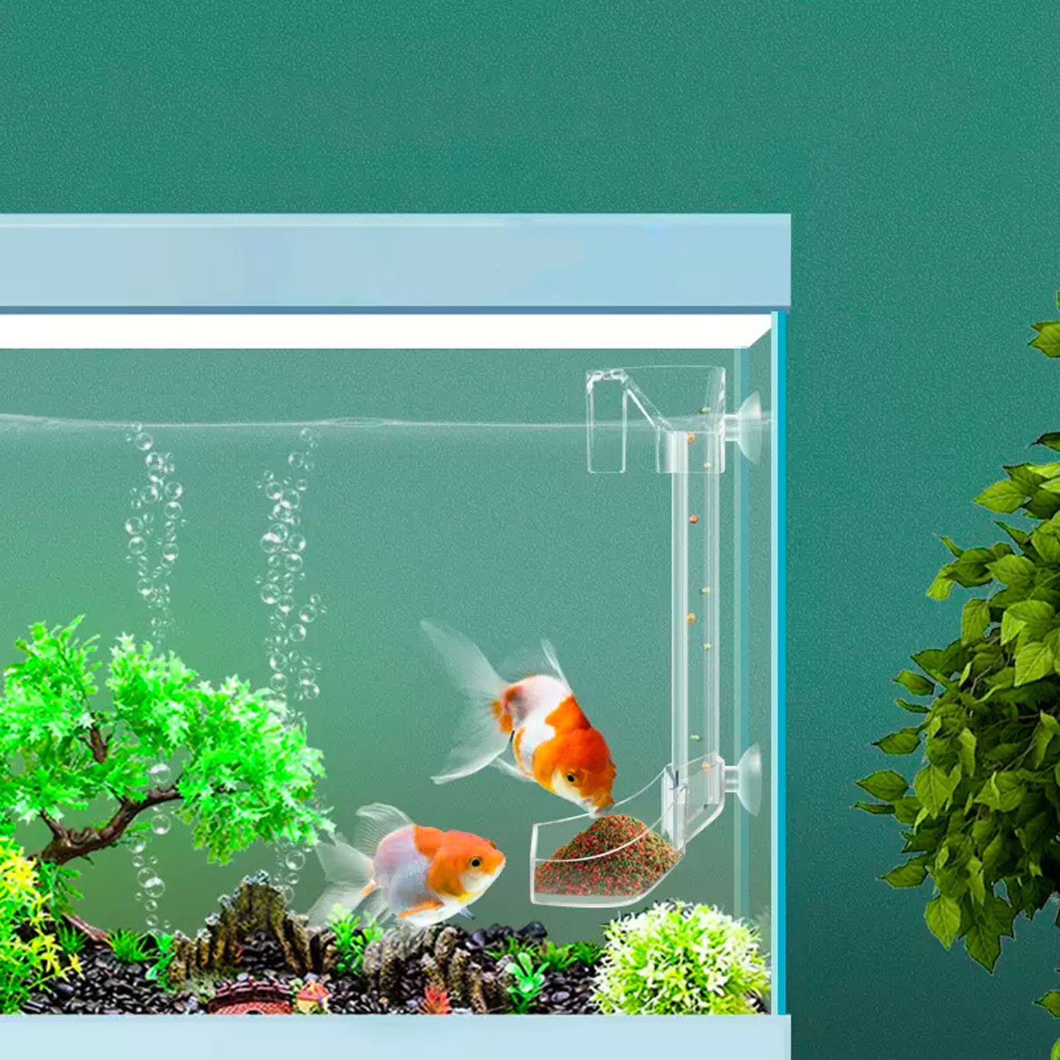 Aquarium Acrylic Feeding tube  - đánh giá và giá Aquarium Fish Variety