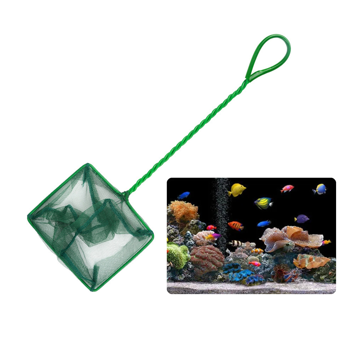 3~10 Inch Portable Nylon Green - đánh giá và giá Aquarium Fish Net