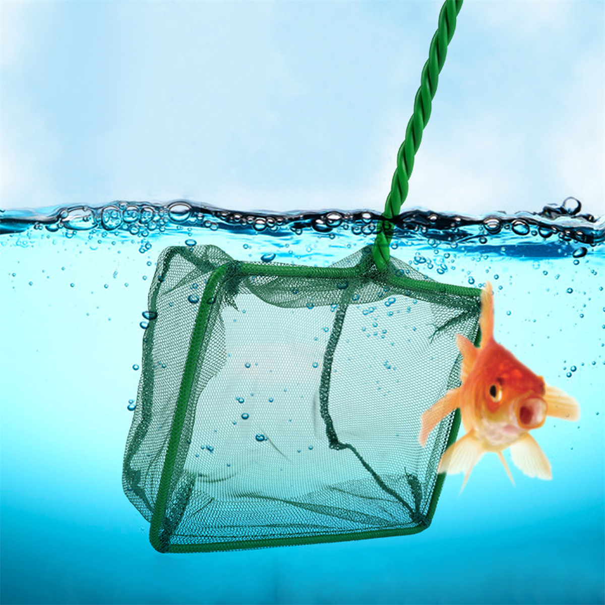 3~10 Inch Portable Nylon Green - đánh giá và giá Aquarium Fish Net