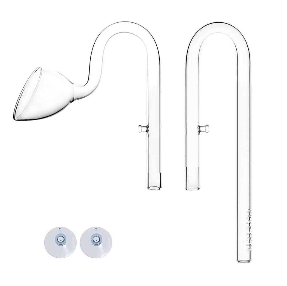 VIV 13mm 17mm ADA Style Lily G - đánh giá và giá Aquarium Fish Quarantine