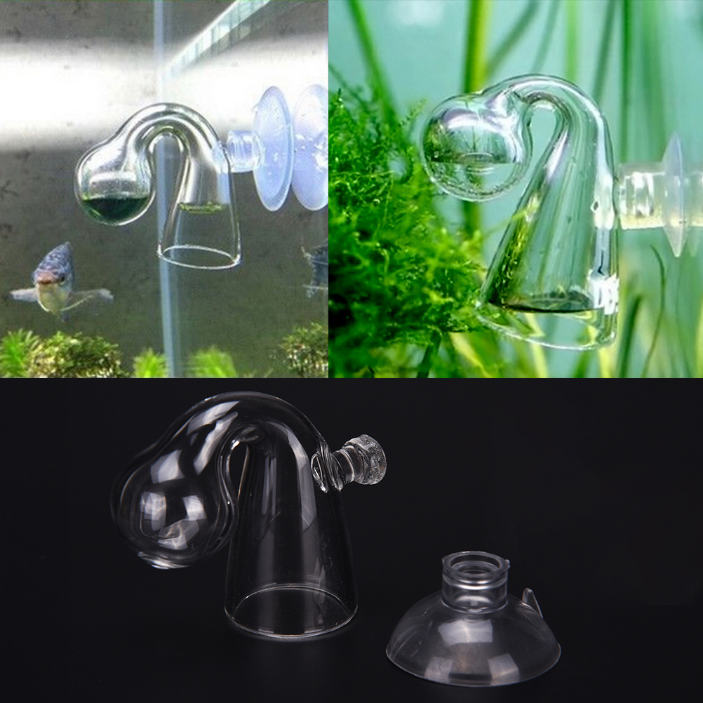 Fish Tank CO2 Diffuse Glass Dr - đánh giá và giá Aquarium Fish Quarantine